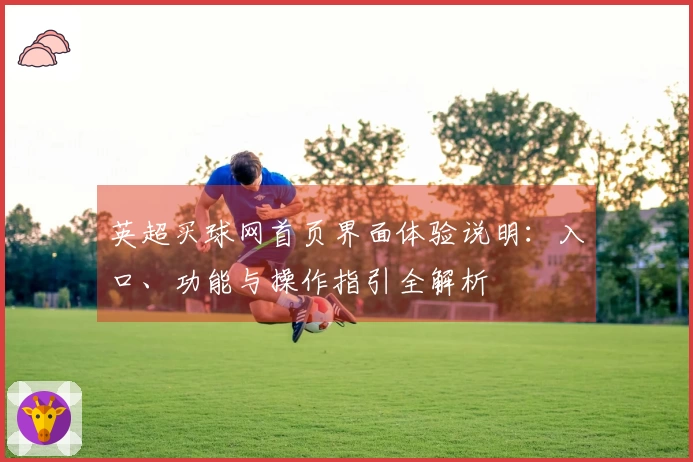 英超买球网首页界面体验说明：入口、功能与操作指引全解析